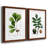 " White Oak " 2 - Pieces-412755168-412755170-412755157