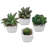 4'' Faux Succulent in Ceramic Pot