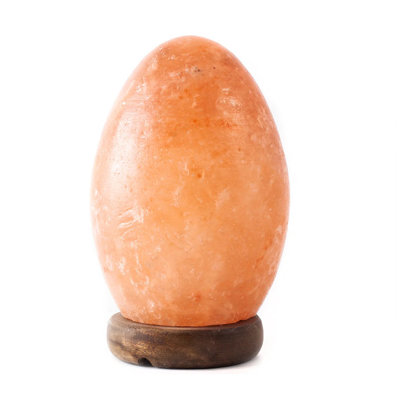 Lampe en sel de l'Himalaya en forme d'œuf par Black Tai Salt Co.