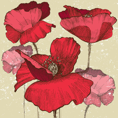 Fleurs de pavot Padulsky par Mart_M