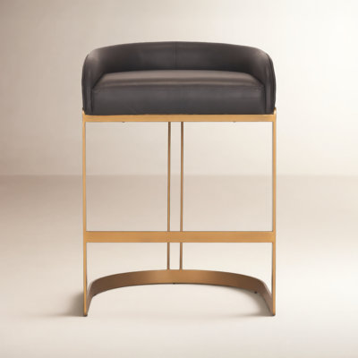 Bradley Genuine Leather Bar and Counter Stool