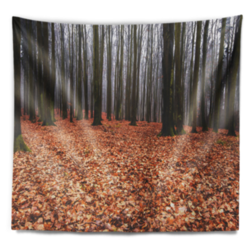 Tapisserie de forêt d'automne enchantée et magique, H 50 po x l 60 po