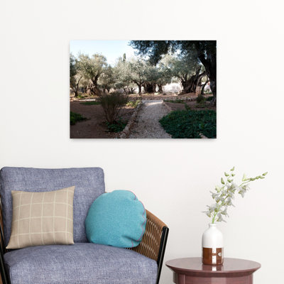 Site probable du jardin de Gethsemane, Mont des Oliviers, Église de toutes les Israël, Israël, Paysage abstrait, Art naturel