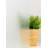 Graphics Window Decal