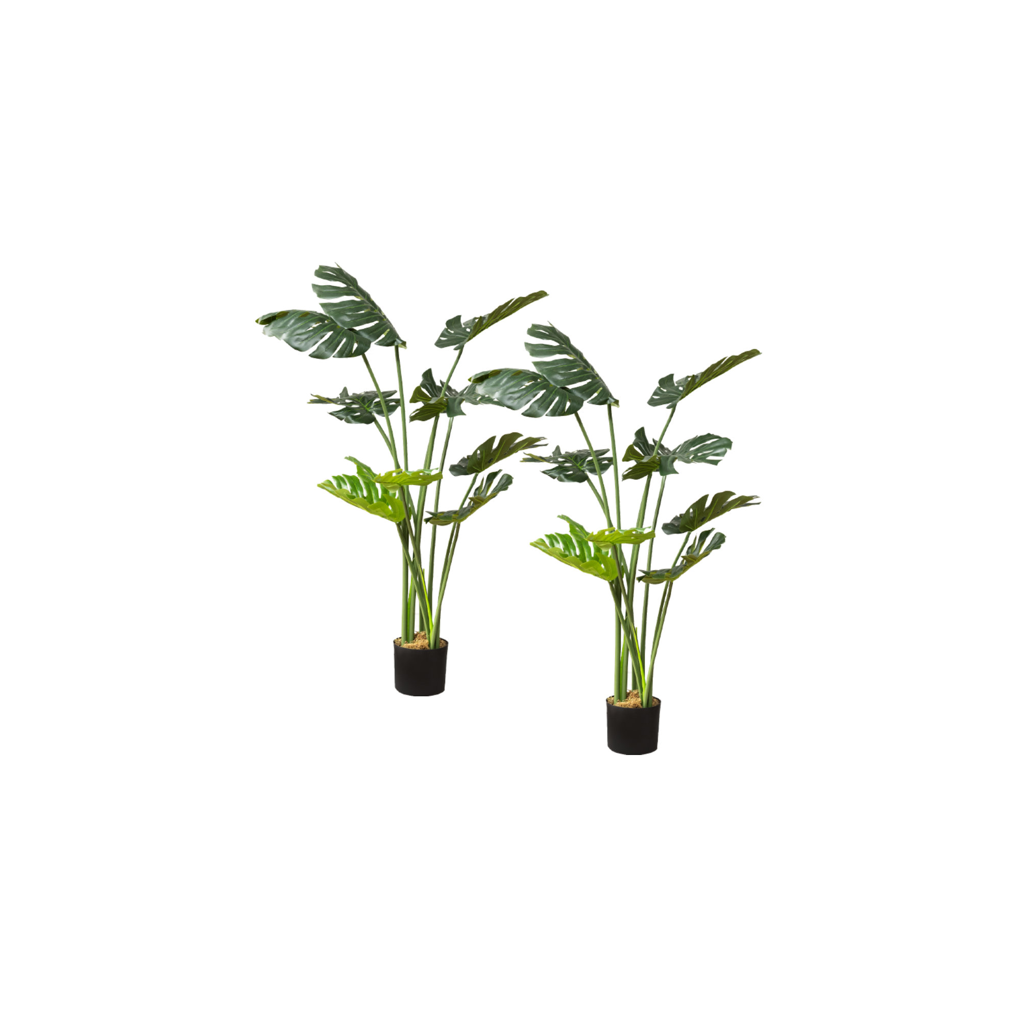 Faux Monstera Plant in Pot, 2, 48" H x 8" W x 8" D