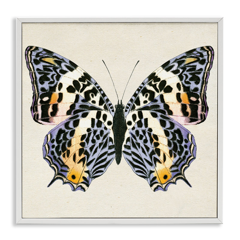  «Speckled Butterfly Sket», art de la giclée encadrée par Susan Arnot, H 17 po x l 17 po
