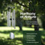 Carillons extérieurs 6 tubes Nature's Melody-88195088-88195091