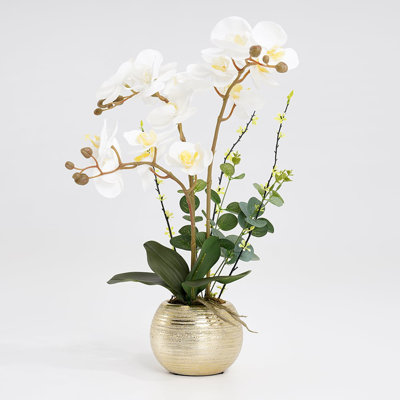 Fleurs artificielles réalistes, orchidées blanches dans un vase, pots de fleurs en céramique brossée dorée