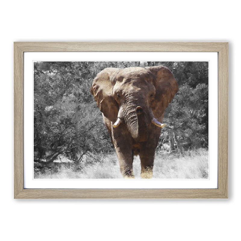 Elephant Vol.1 - Picture Frame Graphic Art, 36cm H x 48cm W x 2cm D, Oak Framed