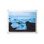 Clear UV-Grade Acrylic Modern Floating Picture Frame - Gold-29005375
