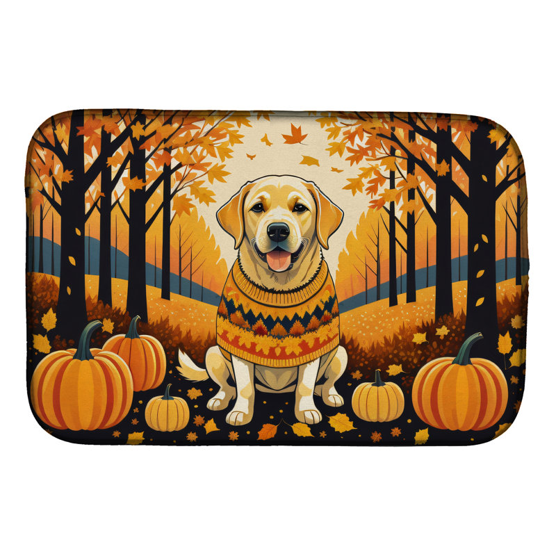 Drying Mat