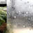 35.4 In. x 78.7 In. Floral Window Film Decorative Non-Adhesive Heat Control Privacy Window Decal
