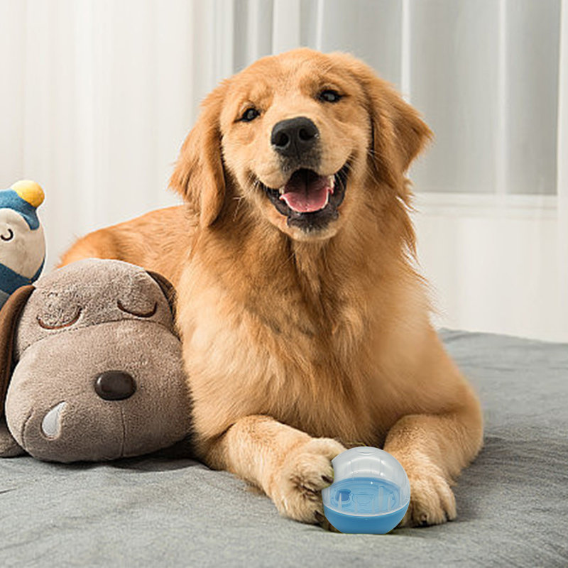 Distributeur de friandises interactif pour chien, Light Blue