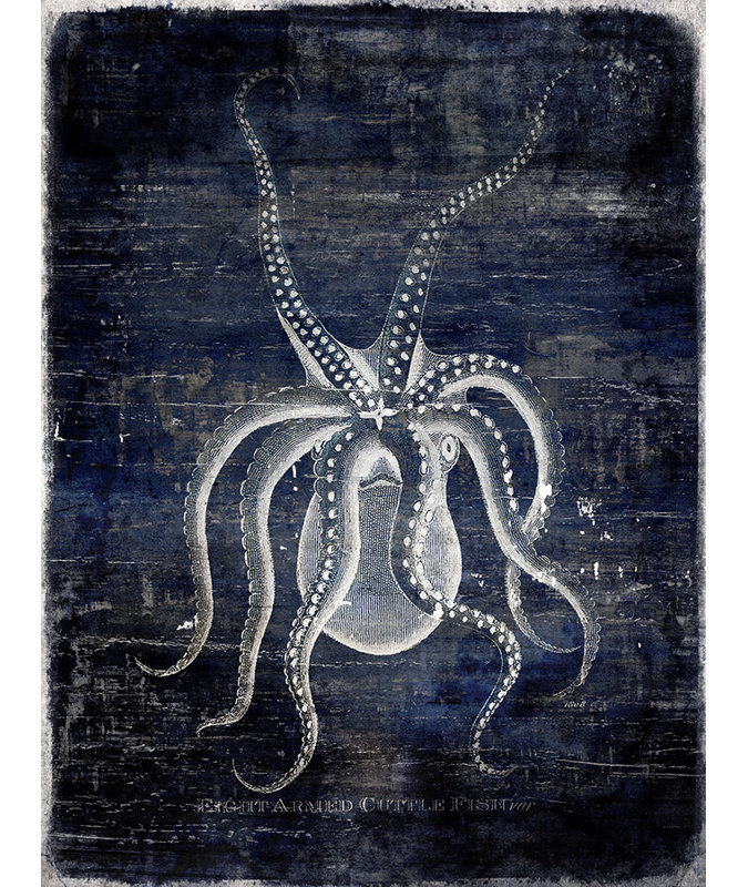 Pulpo Print, 40" H x 30" W, Plexi