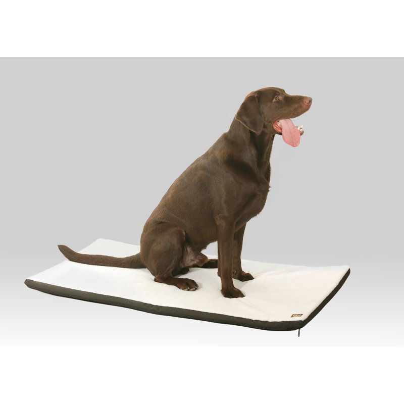 Tapis lavable et cage Phan, L 29 po x P 18 po x H 1,5 po