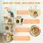 Cat Tree-119765483-119765486