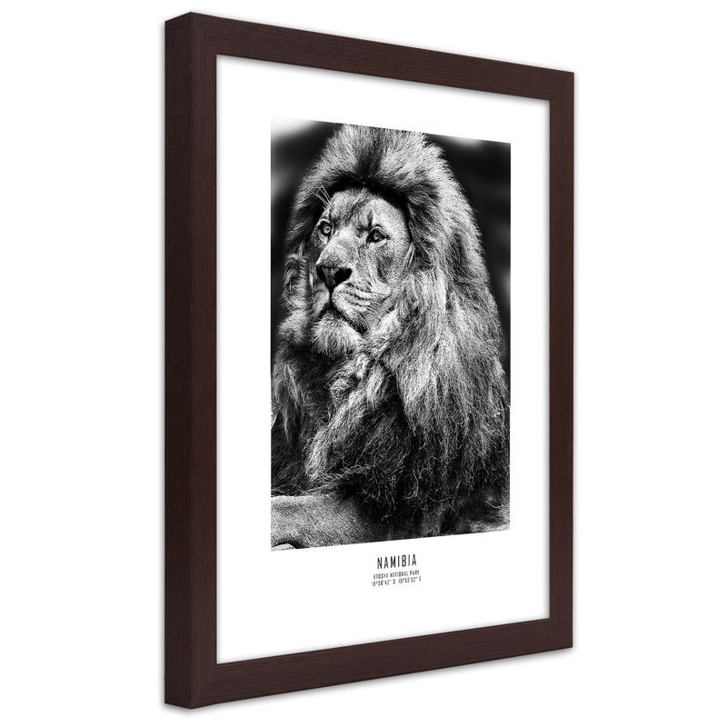 African Lions, Animals - Single Picture Frame Print, 100cm H x 70cm W, Brown