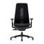 Haworth Fern Mesh Task Chair-72023940-86611506