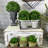 9 " H Faux Boxwood Topiary in Plastic Basket