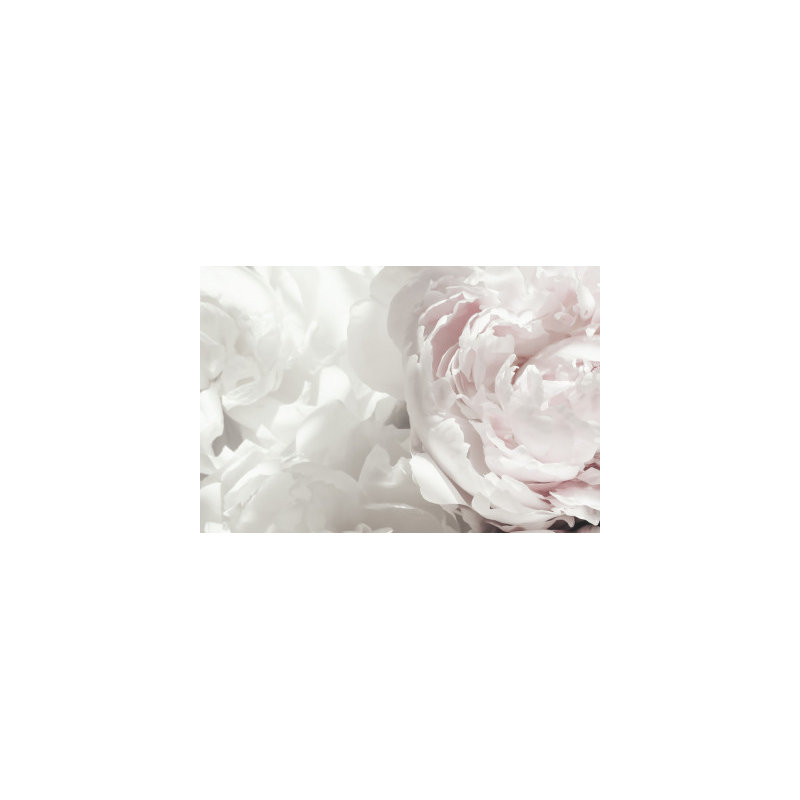 Wrapped Canvas Print, 60.96 cm H x 91.44 cm W