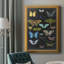 «Graphic Butterfly Taxonomie I», toile encadrée de qualité supérieure - prête à être accrochée-1923288097