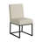 Chenille Upholstered Dining Chairs with Iron Leg Frame Side Chair (Set of 2)-2110205093