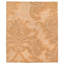Implied Damask Area Rug in Beige/Gold/Neutral-40705360