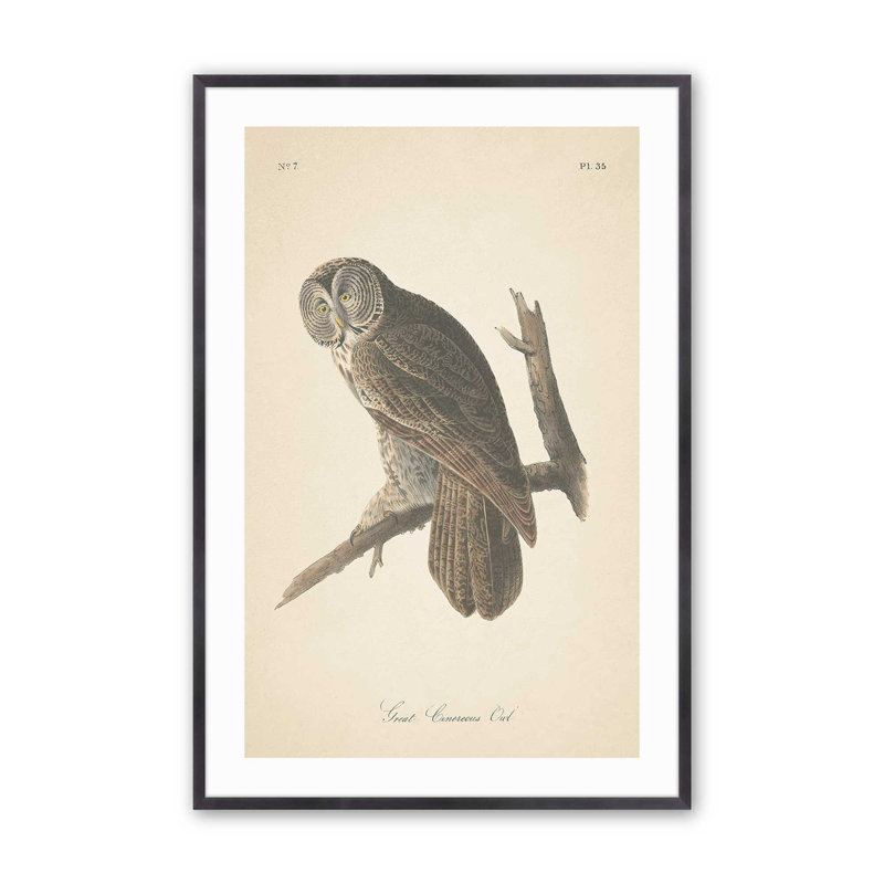 Impression d'un hibou perché dans un, Cadre en zinc patiné, H 15,25 po x l 12,25 po x P 1,25 po