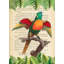 The Blue-Headed Parrot, After Levaillant by Stef Lamanche - Wrapped Canvas Print-1085236582