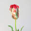 Tulip Faux Floral-1888593889