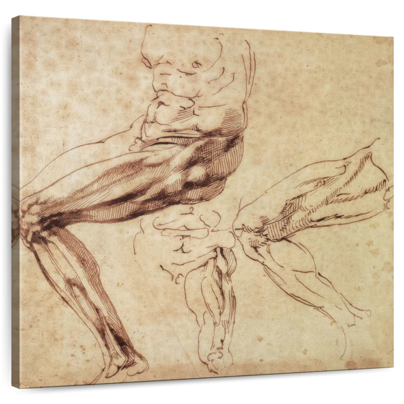 Trois études d'une patte, 16" H x 16" W