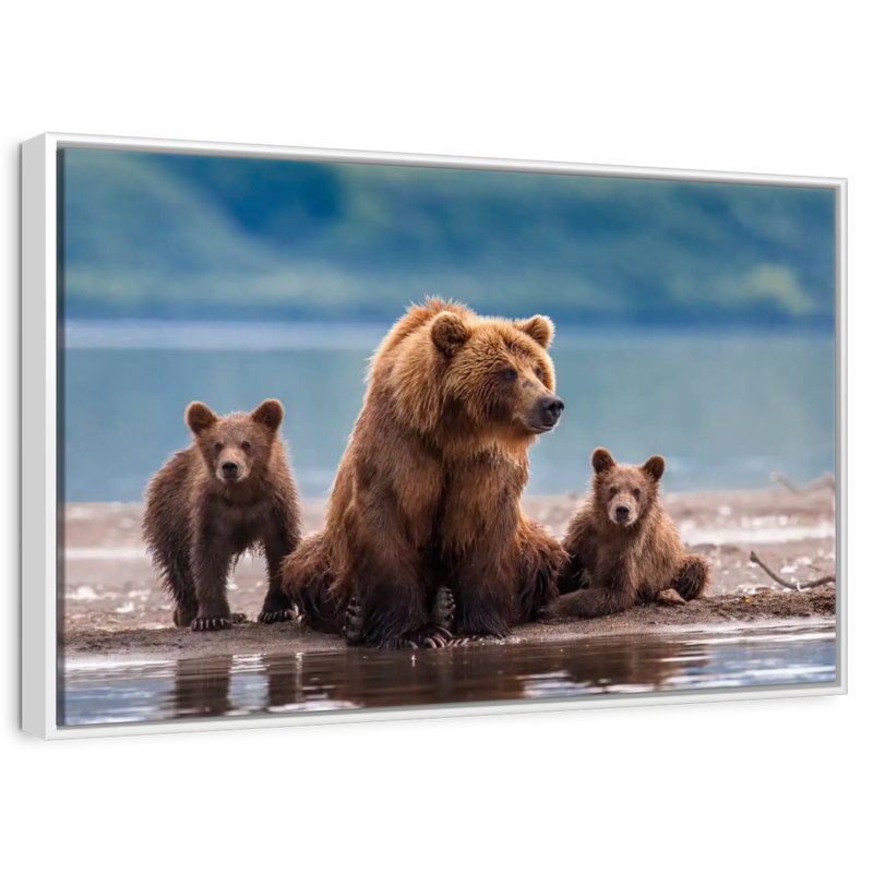 Famille d'ours Kamthatka, Cadre flottant blanc, 31 po x 21 po