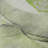 Premium Machine Washable Cerrito AMF506 Green Rug-103831614