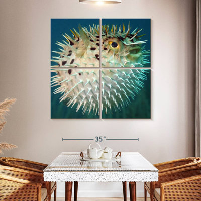 Brampt Puffer Fish