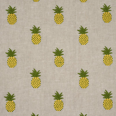 Tissu de broderie ananas