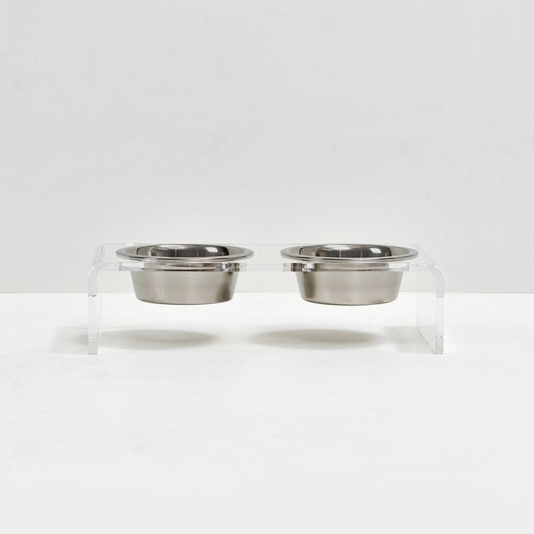 https://assets.wfcdn.com/im/65712004/resize-h755-w755%5Ecompr-r85/1429/142936833/Clear+Elevated+Pet+Feeder+with+Silver+Bowl.jpg