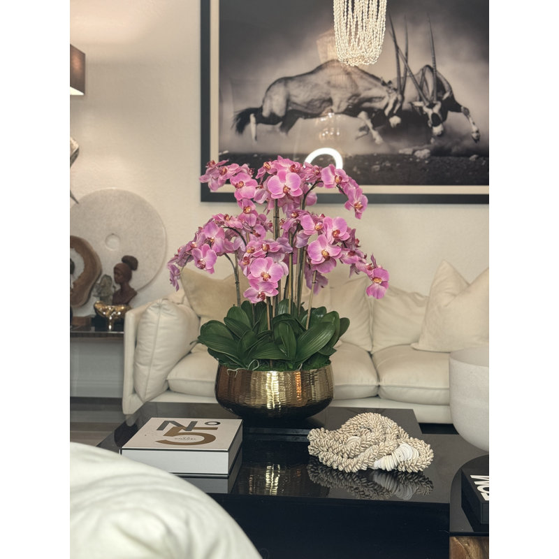 Roberi Orchid Arrangement in Planter, 38" H x 22" W x 22" D