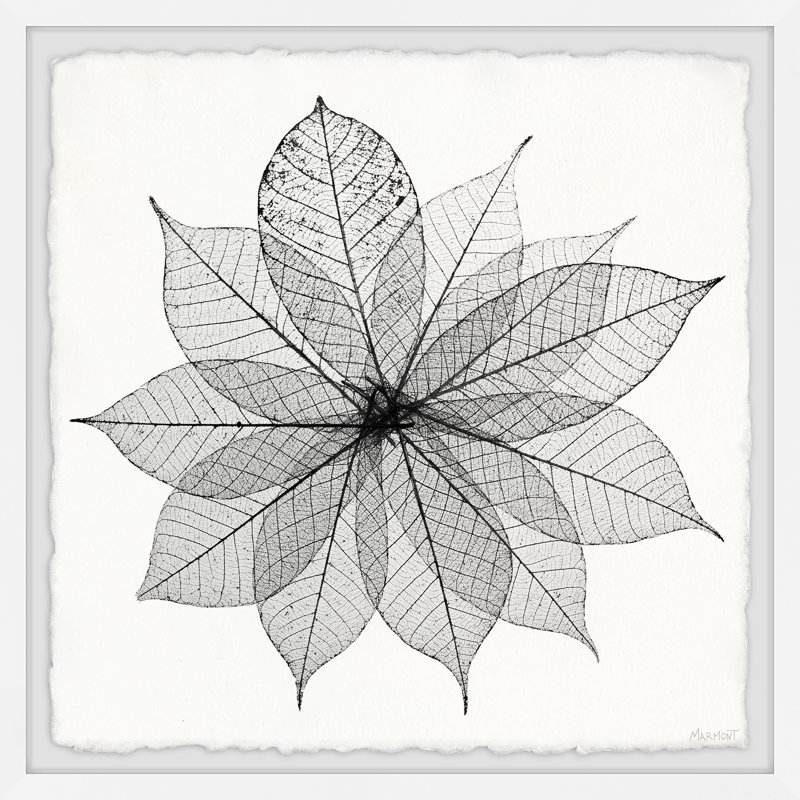 Leaf Structure - Single Picture Frame Painting, 81cm H x 81cm W x 3.81cm D
