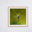 Single Picture Frame Print-246606703