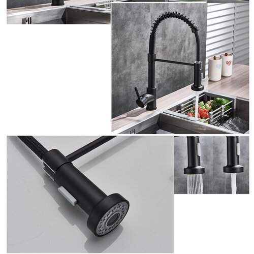 Topcraft Pull Out Kitchen Faucet & Reviews | Wayfair