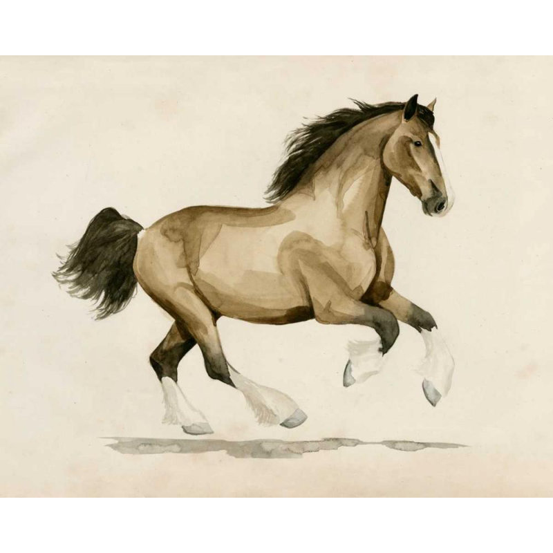 Ophelia & Co. Popp, Grace Gallery Wrapped Canvas Art Titled: Clydesdale I, 36" H x 44" W