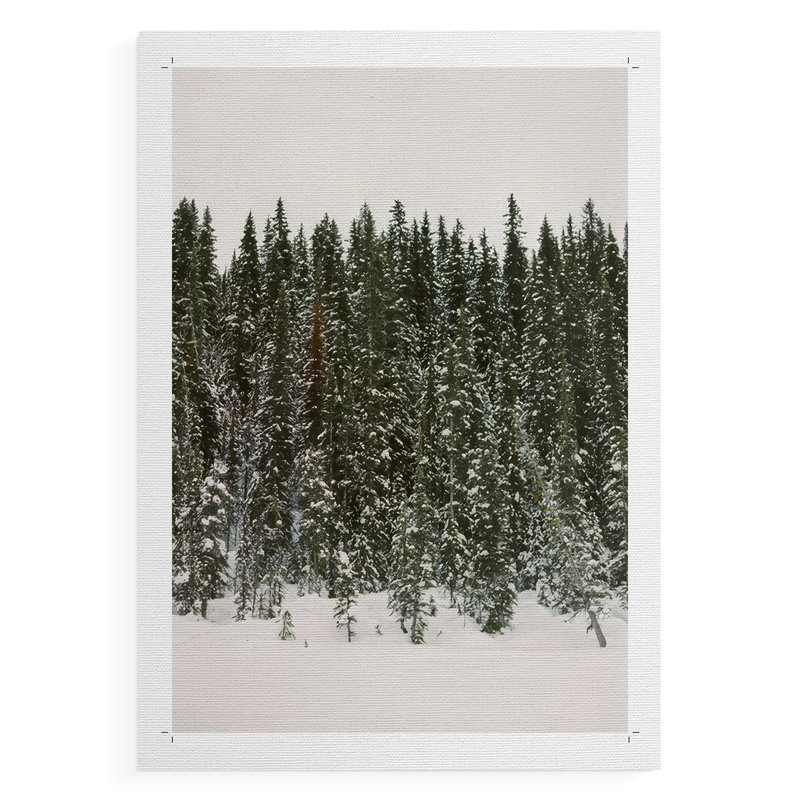 Forêt de sapin de Noël - Impression sur toile seulement - NON-CADRE, H 48 po x l 32 po