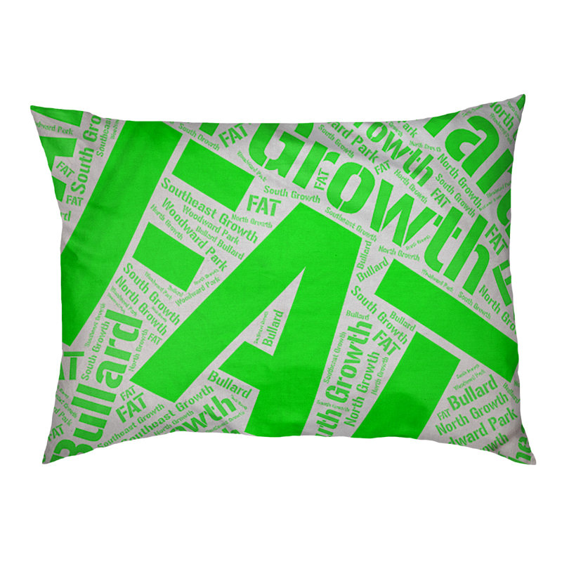 Coussin de chien « districts », Grand (l 40 po x P 30 po x H 14 po), Vert, Fresno