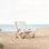 Paloma Patio Chair with Cushion