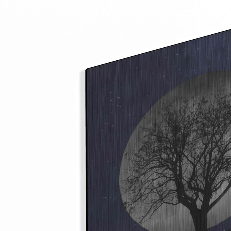 Ebern Designs «Full Moon» par Lori Deiter, art mural en métal, H 12 po x l 12 po