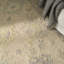 Tapis d'intérieur taupe Franck Ivory-1848629613
