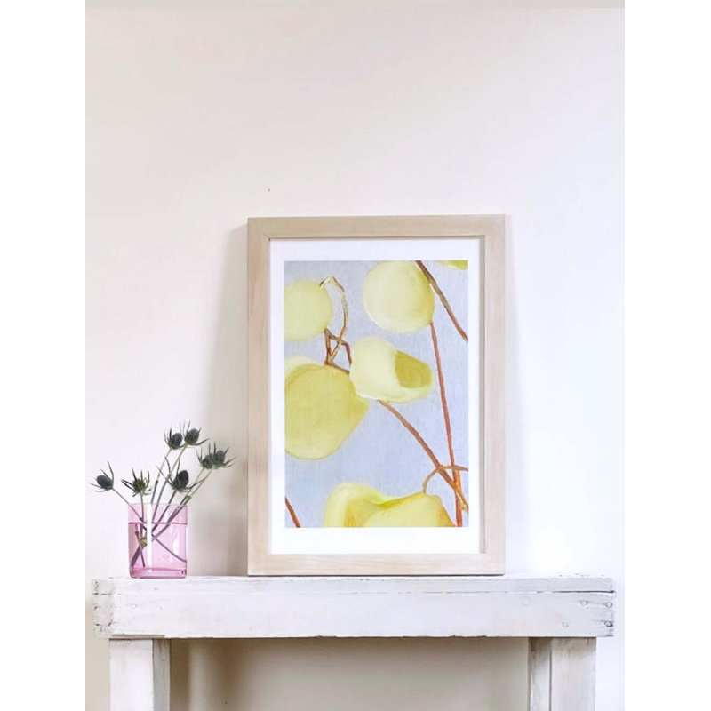 Milkweed On Pale Gray Print, 19" H x 13" W