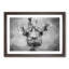Wonderful Giraffe in Abstract - Picture Frame Painting Print-55765776-55765777