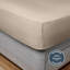 Silentnight Supersoft Fitted Sheet-59143597-109008430