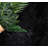 Mamdouh Faux Sheepskin Indoor Rug-1472439700